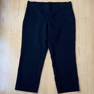 Quince Ultra Stretch Ponte Straight Leg Pull-On Pant Size 1X Petite Black